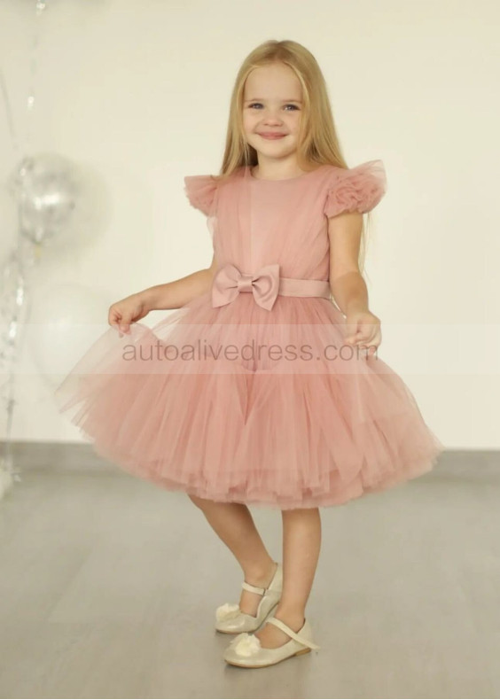 Blush Pleated Tulle V Back Flower Girl Dress